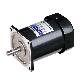 detail image3 Induction Motor